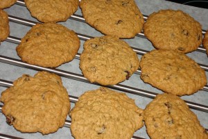 Hafra rúsínu kökur